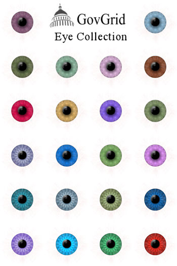 GovGrid Eye Package Download